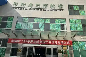 大学里的宝藏博物馆③丨动物标本如何做出来？来这座博物馆一探究竟图片
