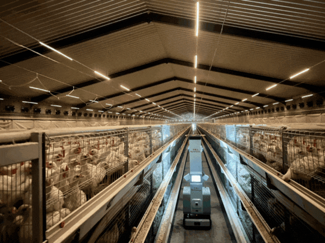 走，去六合当一日小农夫！