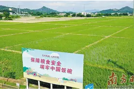 惠州筑牢农业稳产保供“压舱石”图片