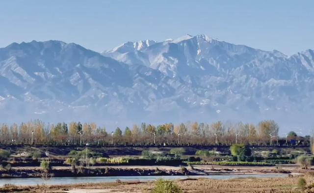 杨凌美成“调色盘”！你爱了吗？