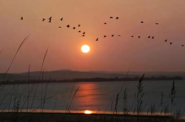 不来珲春，怎知秋色如许？（惊艳美图来袭）