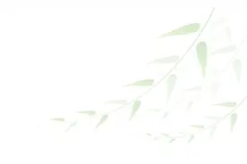 五一假期，邂逅竹溪最美湿地公园！图片