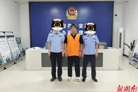 拉车门大盗栽了！民警12小时破案，大数据锁定“夜游神”图片