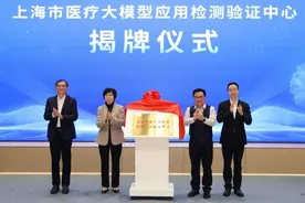 上海推动AI与医疗深度融合，国内首个医疗大模型检测验证平台成立图片