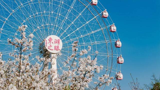100张免费票！东湖之眼五周年甜蜜暴击