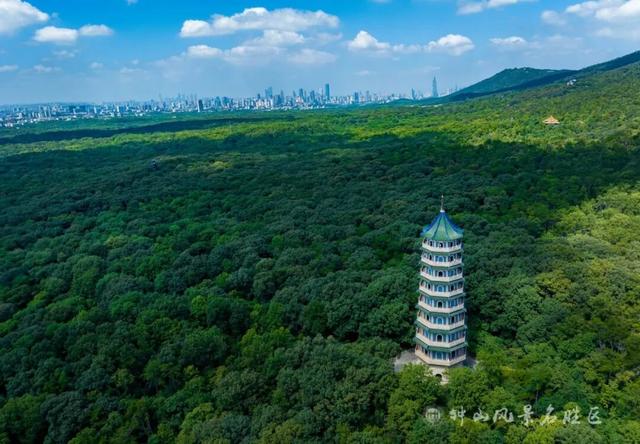 南京钟山风景区发布游览交通指南