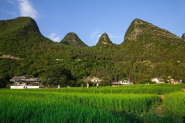 去有风的地方