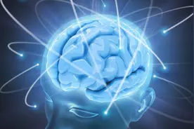 “爱因斯坦的脑子”热卖 情绪价值成商品？