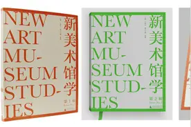 李公明谈“全球南方”与美术馆图片