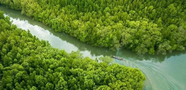 “缀美”！一起解锁湛江这里的墙绘宝藏地图→