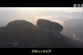 总书记关心的世界文化遗产｜武夷文脉耀千年视频封面