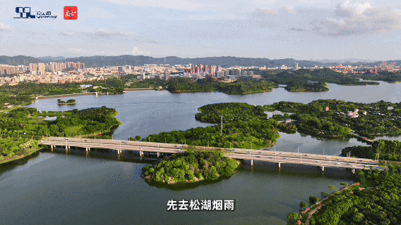 七夕将至，看“粤圈大小姐”的松山湖“追爱”计划