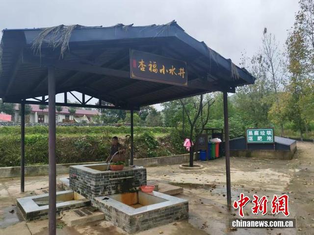 行走江河看中国丨丹江口杏花村的“杏福”蜕变记