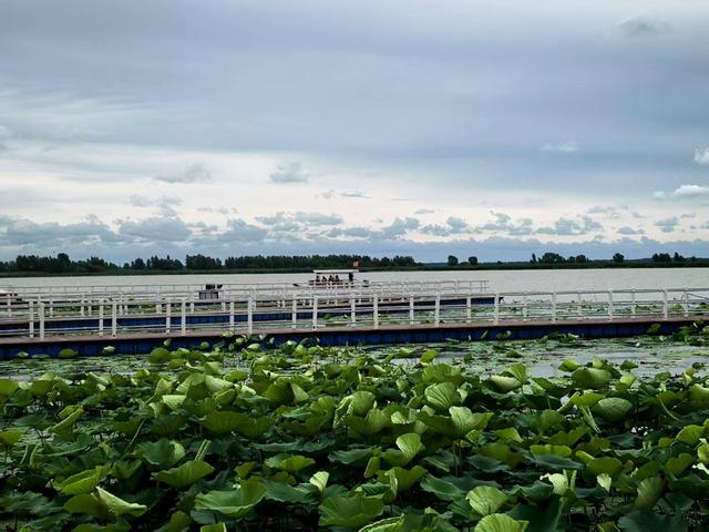 活力中国调研行丨生态保护先行 查干湖风景美如画