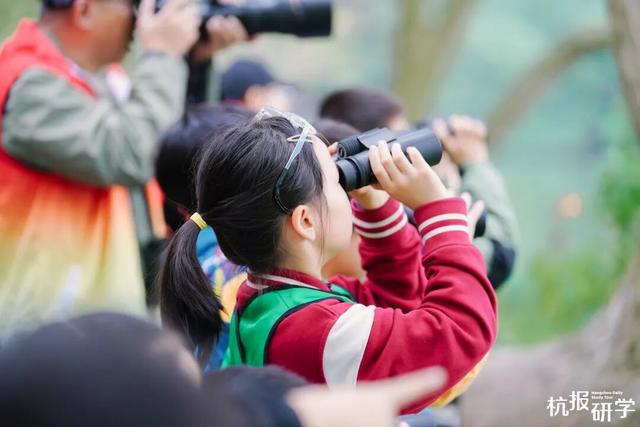 12.07 独立营｜冬日寻羽记：解码西湖候鸟的越冬密码！鸟类专家带队，探秘茅家埠“鸟类天堂”，体验听声辨鸟、飞羽寻踪的野趣周末！