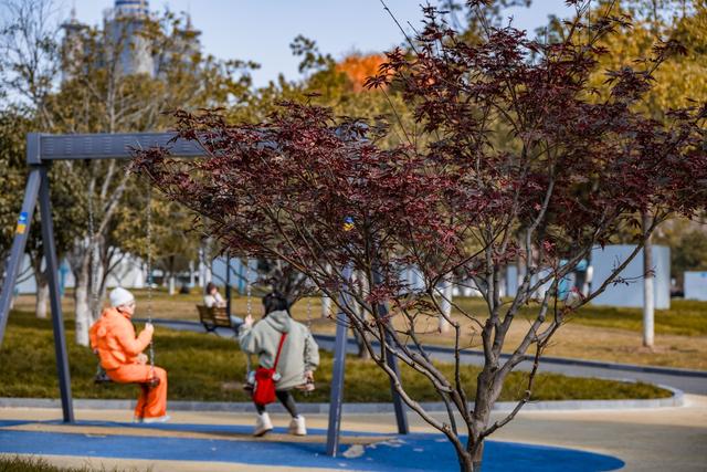 这座公园全面开放草坪，可以去露营了