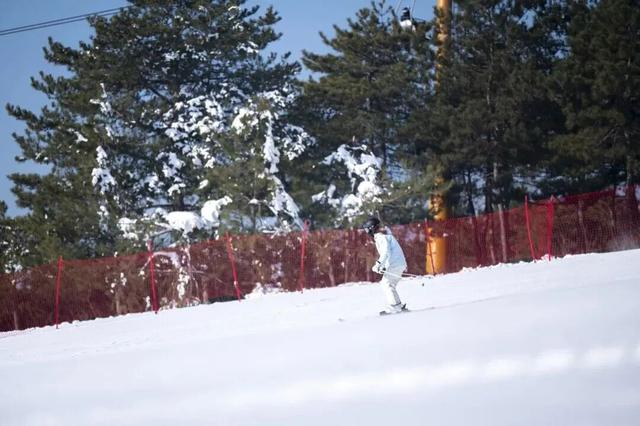 绝美！北京“蓝调”冰瀑奇观，惊艳亮相 | 周末京郊微度假