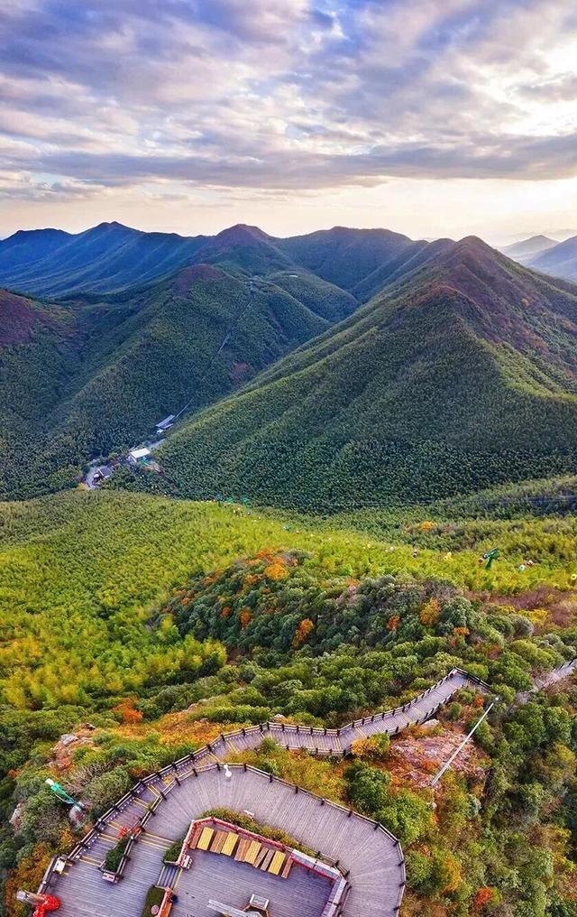 街头大量出现！常州人都已经捡上了