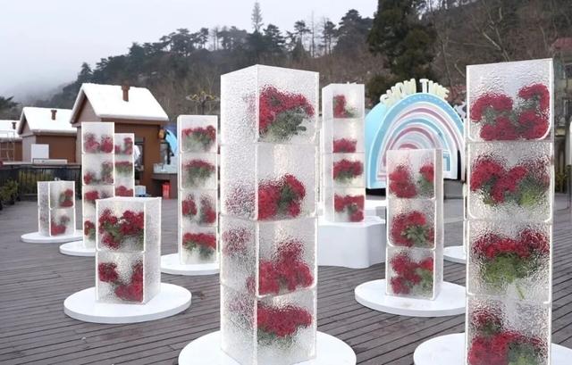 冲！冲！冲！这场冬日盛宴，藏不住了！