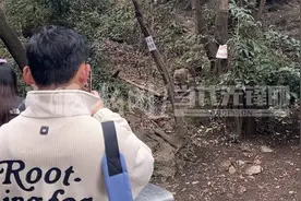 贵阳黔灵山公园工作人员持弹弓驱猴？公园管理处回应图片