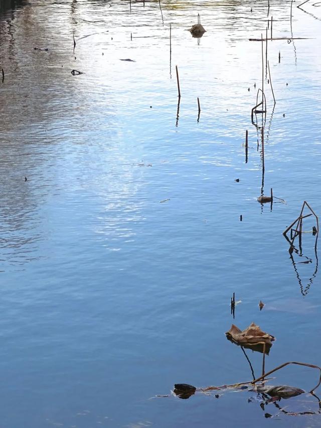 别宅啦！闵行的冬日浪漫，从艺术馆到公园都给你安排好了→
