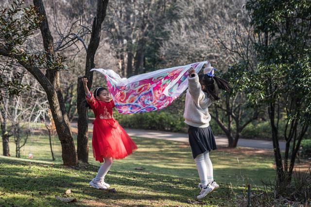 云南昆明：冬日绿意暖