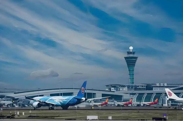 榴莲7小时鲜达！广州航空口岸跑出改革加速度