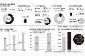 全国数据资源摸底：六省份数据产量占近六成，这三个行业最多|言叶知新图片
