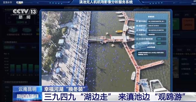 有一种生活叫云南 冬日滇池邀你来一场“观鸥游”