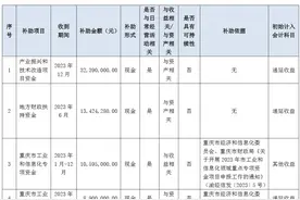 重庆宗申动力机械股份有限公司获得政府补助8580万元图片