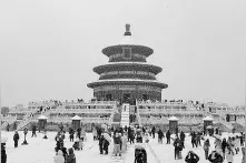 且看皇家禁地的“平民”转身图片