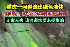 重庆一河道流出绿色液体 环保部门：系企业投放示踪剂检查管网 无毒无害图片