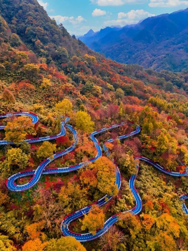 客从远方来，AI上光雾红！四川巴中光雾山向湖北游客发出浪漫邀约