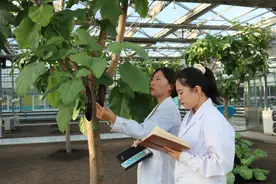 新华全媒+丨丰收季，来看这个国家农业科技园区的“黑科技”图片