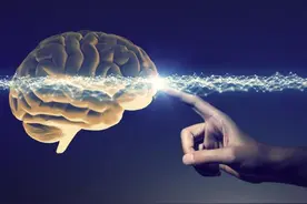 “神经疾病”和“精神疾病”两者如何区分？有何不同表现？图片