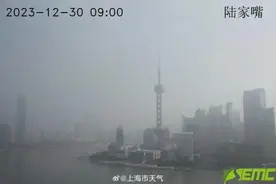 大雾红色预警！浦东机场部分航班延误或取消图片