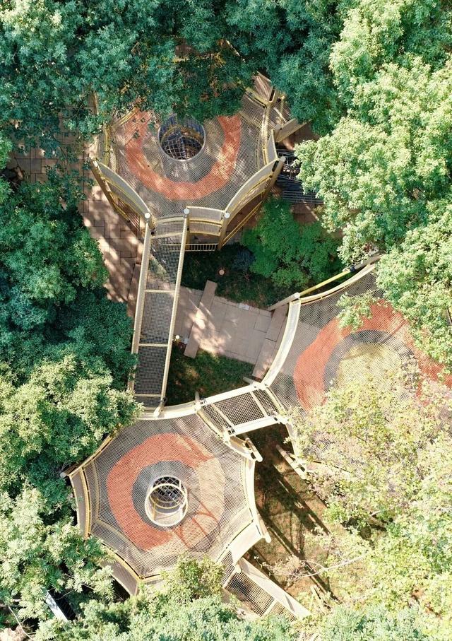 门票8元！杭州一动物园，正式开放！来了好多“新朋友”