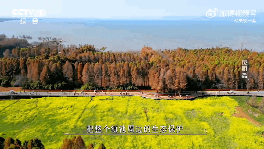《城市风华录》昆明篇：“翡翠项链”里的生态密码