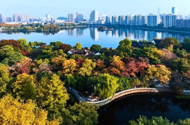 莫愁湖的四时美景，你见过多少？