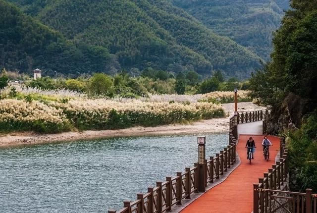 晚潮｜晚秋藏清欢：大赤坑芦苇荡里的温柔时光