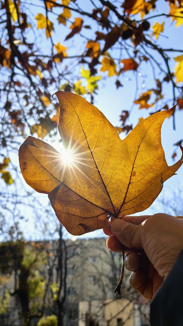 宿来拍丨五彩斑斓