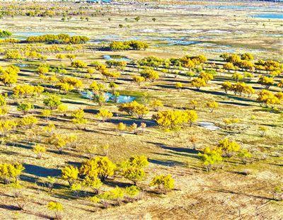 大沟湾披上金色盛装