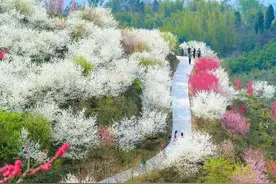 乱花渐欲迷人眼 2025年“惊奇自贡·春韵盐都”春季打卡活动丰富多彩图片