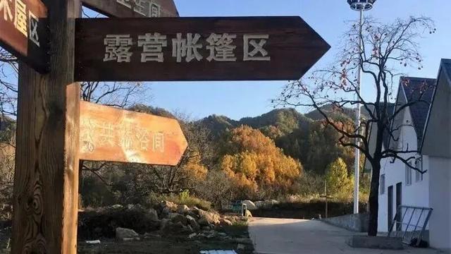 重返20°C+，洛阳极品好天气！速速出门！