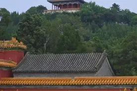 宫墙映夏花，景山公园惊鸿一瞥图片