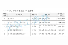 2023中国民营企业500强发布，京东、阿里位居前二图片