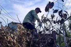 海南林业“油锯手”参与多地灾后重建工作图片