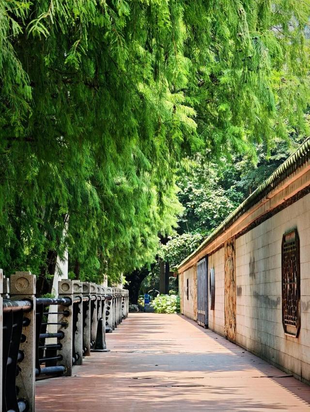 解闷必备！老城区徒步路线+2，探秘“百变”视觉廊道！