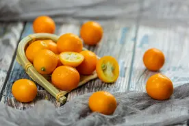 乐清葡萄果农开辟新赛道 一颗金桔卖到10元图片