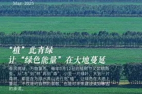 “植”此青绿 让“绿色能量”在大地蔓延图片